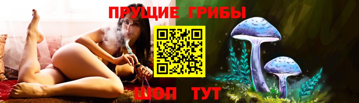 Псилоцибиновые грибы ЛСД  Вход с VPN  Зеленодольск 